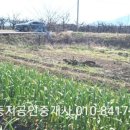 용촌농장 이미지