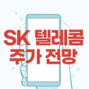 에스케이텔레콤(주) 이미지