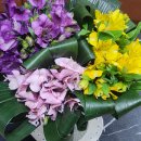 청담안마지압원 이미지