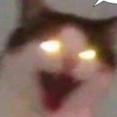 은행동다목적체육관 이미지