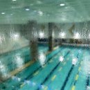 부산YWCA(여자기독교청년회) | 부산 YMCA 인명구조요원 자격증 취득 과정 후기1