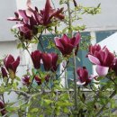 만복경로당 이미지