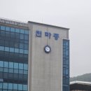 특별한 추억! 💖 중2 딸 체육대회, 체육관에서 이어진 열정 가득 후기 (feat. 학부모회의 맛있는 사랑!)