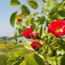 (주)행복한 자동차 공업사 이미지