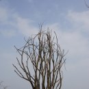 여강길(3-1코스 강천섬길) 티스토리