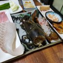 더 센다이 이미지