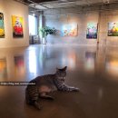 아인미술관 이미지