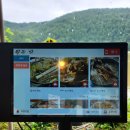 애룡원두막 이미지