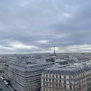 파리글라스 | 파리 라파예트 백화점 후기｜돔 천장·무료 전망대·글라스워크 예약·디저트 쇼핑 팁