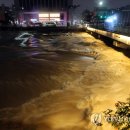 곡성-247 이미지