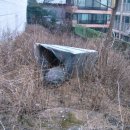 강남-205 이미지