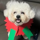 성남대로407번길 이미지