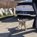 더행복해짐 이미지