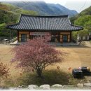 연풍IC주유소 이미지