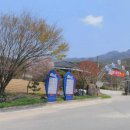황골민박 Daum카페