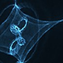 화이트홀 이미지