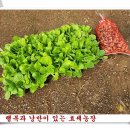 내지농장 이미지