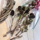 나무향 가득 | 에버그린 생화 리스 만들기 후기 나무 향 가득한 힐링 취미