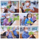 진일미용실 이미지