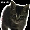 무대포장어