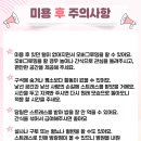 대구 고양이 미용 밀꼬냥 이미지