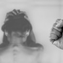 로앤로이드 행정사 사무소 이미지