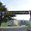 달빛고운 월성캠핑장 이미지