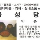 곡성당 Daum카페