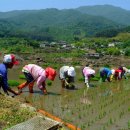 중앙철물 이미지