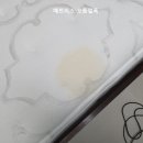 침대;소파;카펫클린수피아
