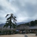 정선라움민박 | 순천, 남해, 구례 여행...한국의 전통미를 찾아 떠나는 여행 1