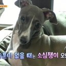 동물농장 - 양산시 양산역로 85 | 동물농장