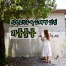 라룬블루(La lune bleue) | 제주 위미 카페ㅣ 생망고빙수 맛집으로 유명한 라룬블루(La lune bleue)