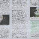 밀알광고
