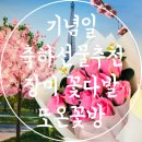 또온꽃방 네이버블로그