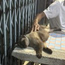 제이제이원 이미지