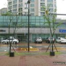 상림마을작은도서관 이미지