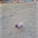 삼육사로25 이미지