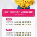 에이스침대에이스스퀘어강릉점