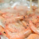 Jc수산