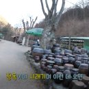쇠뫼기 이미지