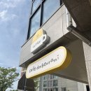 향남 카페 추천 | 노랑노랑 감성 가득한 카페 동그라미 솔직 후기