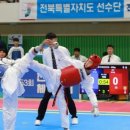 국가대표 태비태권도 이미지