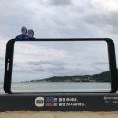 부산기장경찰서 로이슈