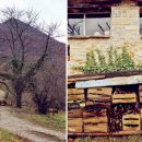 자연가든 이미지