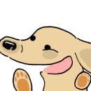 강아지천국 이미지