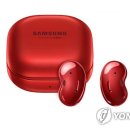 라이브레드 이미지