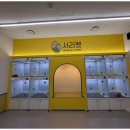 강아지와 고양이 이미지