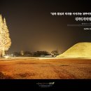 여행일번지지점 이미지