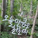 원주양평횟집